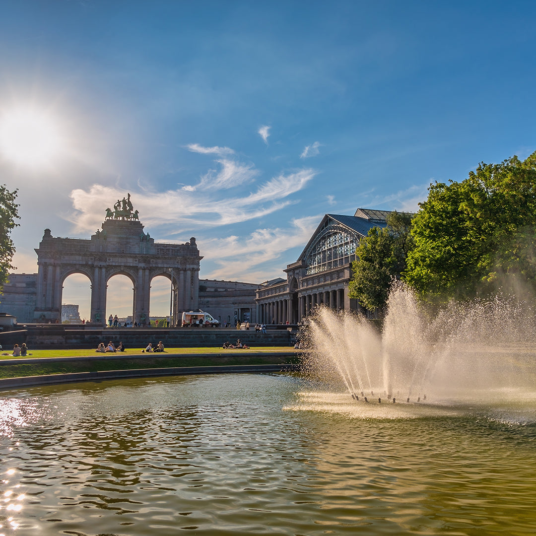 Dagtocht Brussel