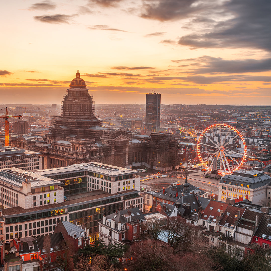 Dagtocht Brussel