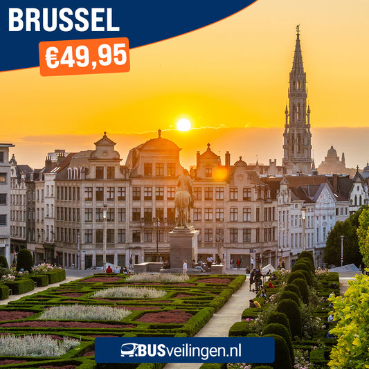 Dagtocht Brussel